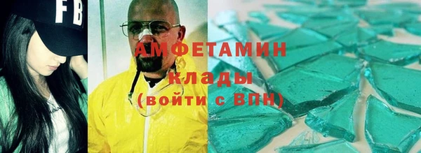 шишки Тайга