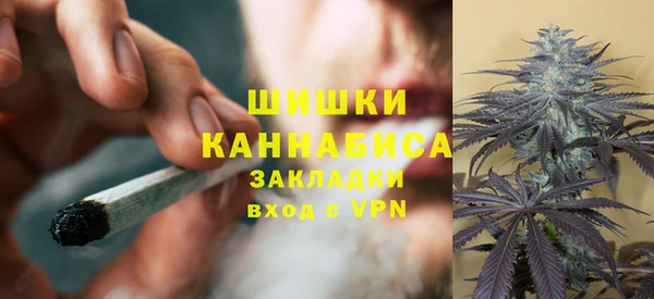 прущие грибы Тихвин