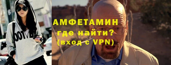 прущие грибы Тихвин