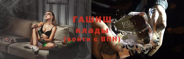 шишки Тайга