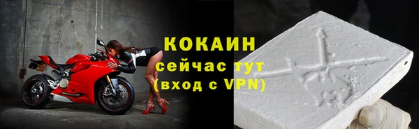 прущие грибы Тихвин