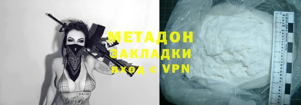 прущие грибы Тихвин