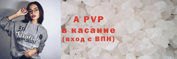 прущие грибы Тихвин
