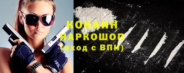 прущие грибы Тихвин