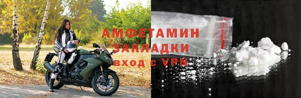 прущие грибы Тихвин