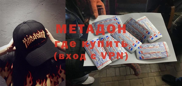 прущие грибы Тихвин