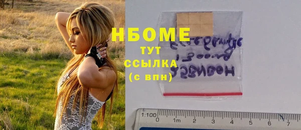 прущие грибы Тихвин