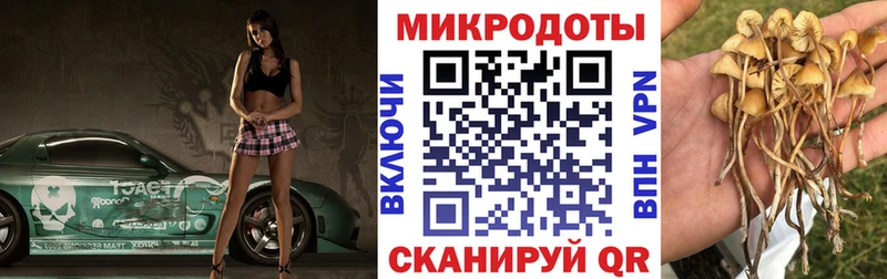 Купить Обоянь Галлюциногенные грибы Psilocybe